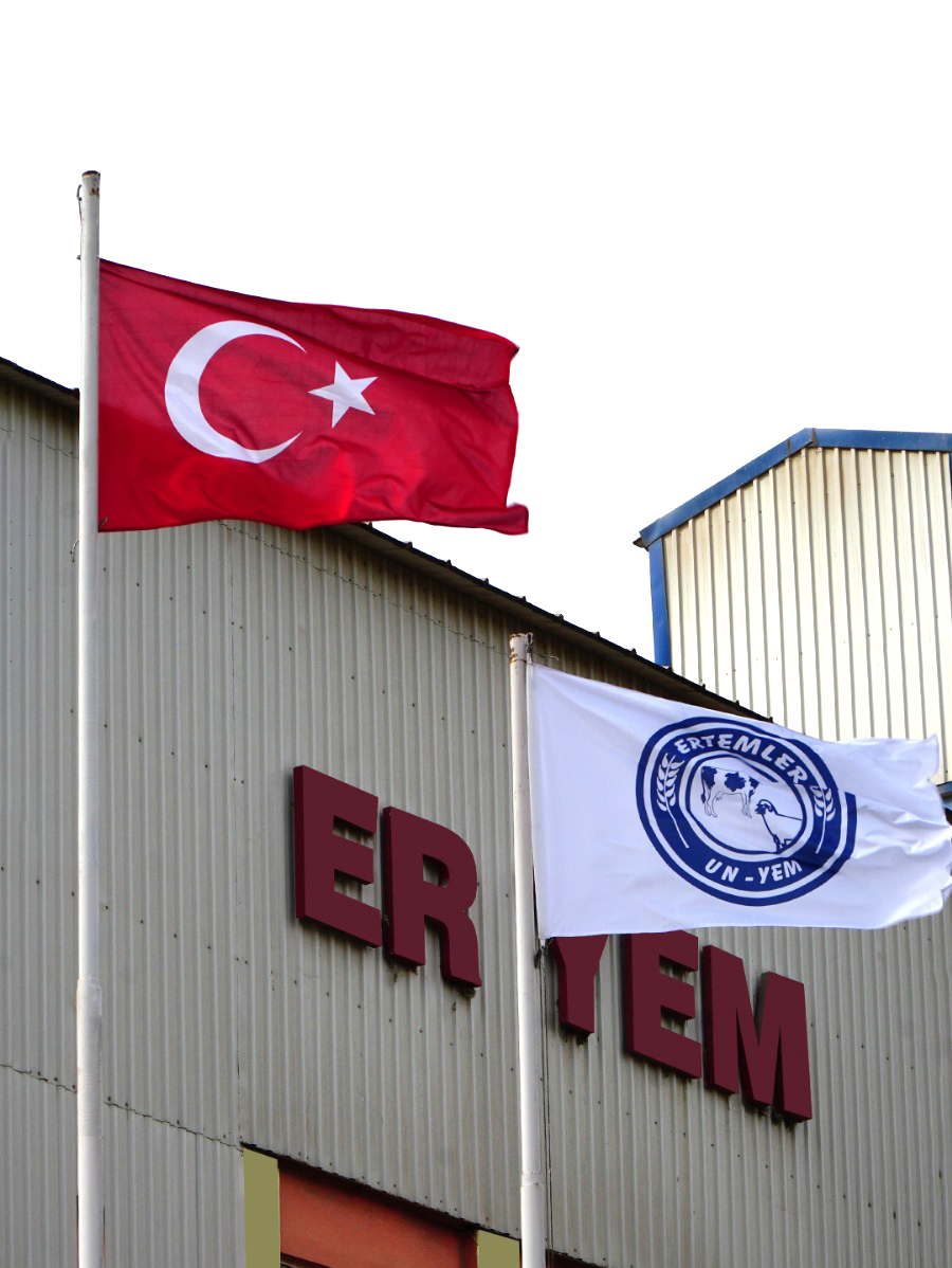 ertemler