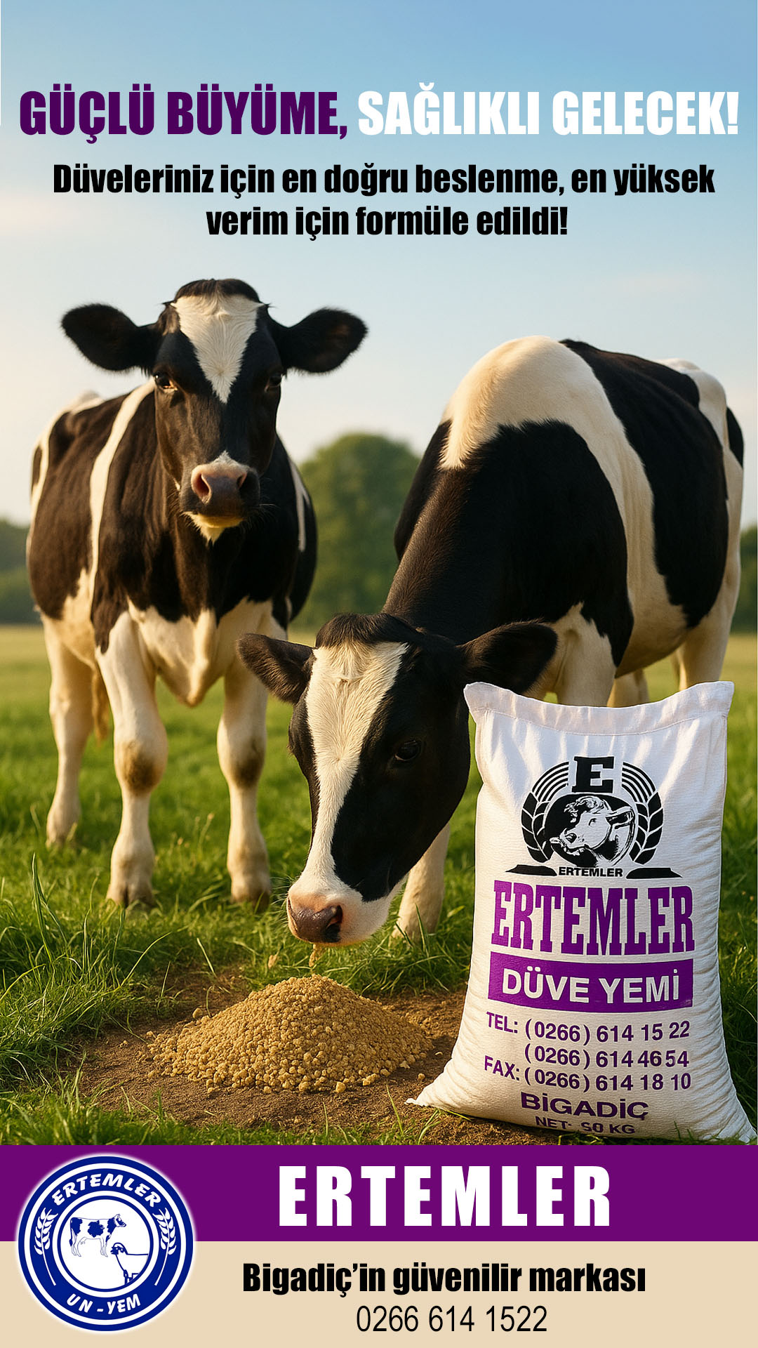 ertemler düve yemi