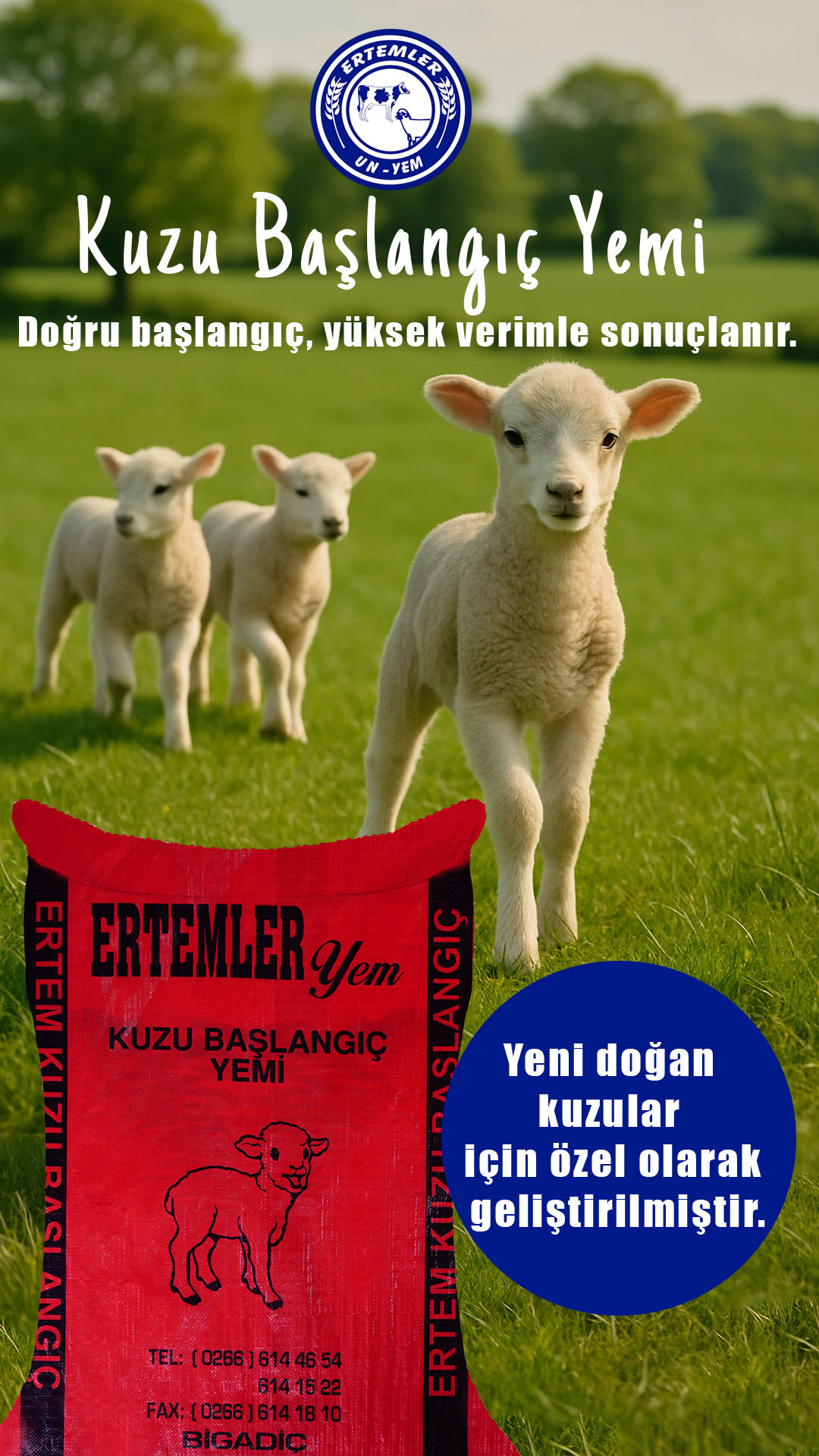 kuzu yemi ertemler