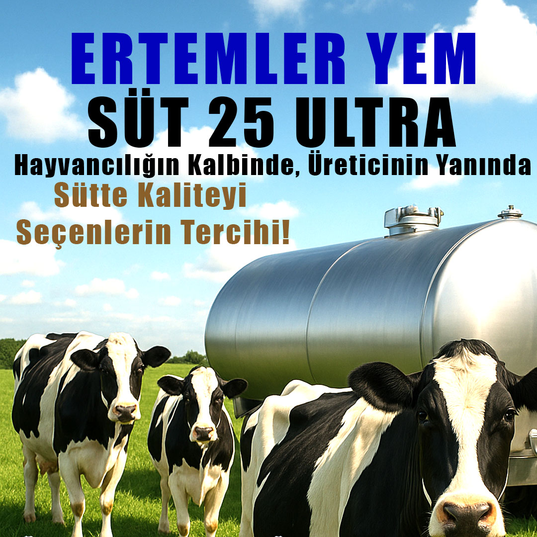 süt yem ertemler yem