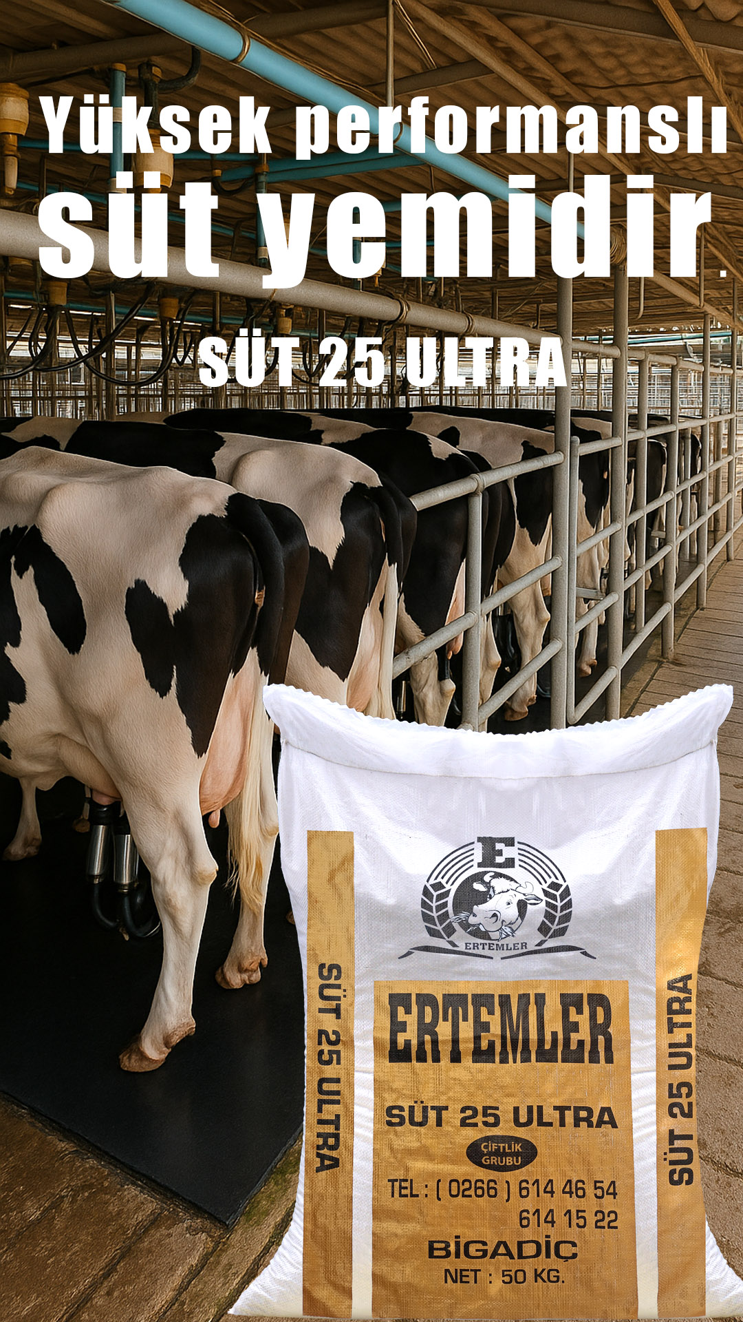 süt yemi ultra25 ertemler yem